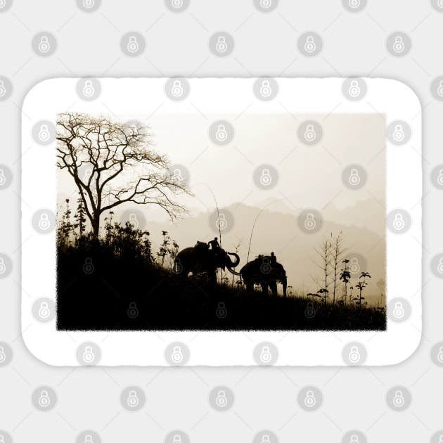 Asian Elephants Trekking In The Jungle Photograph Sticker by VintCam